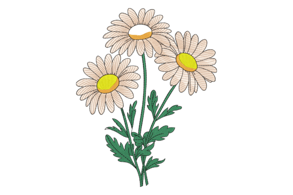 Blooming Daisies: A Designer's Review for Personalized Gifts